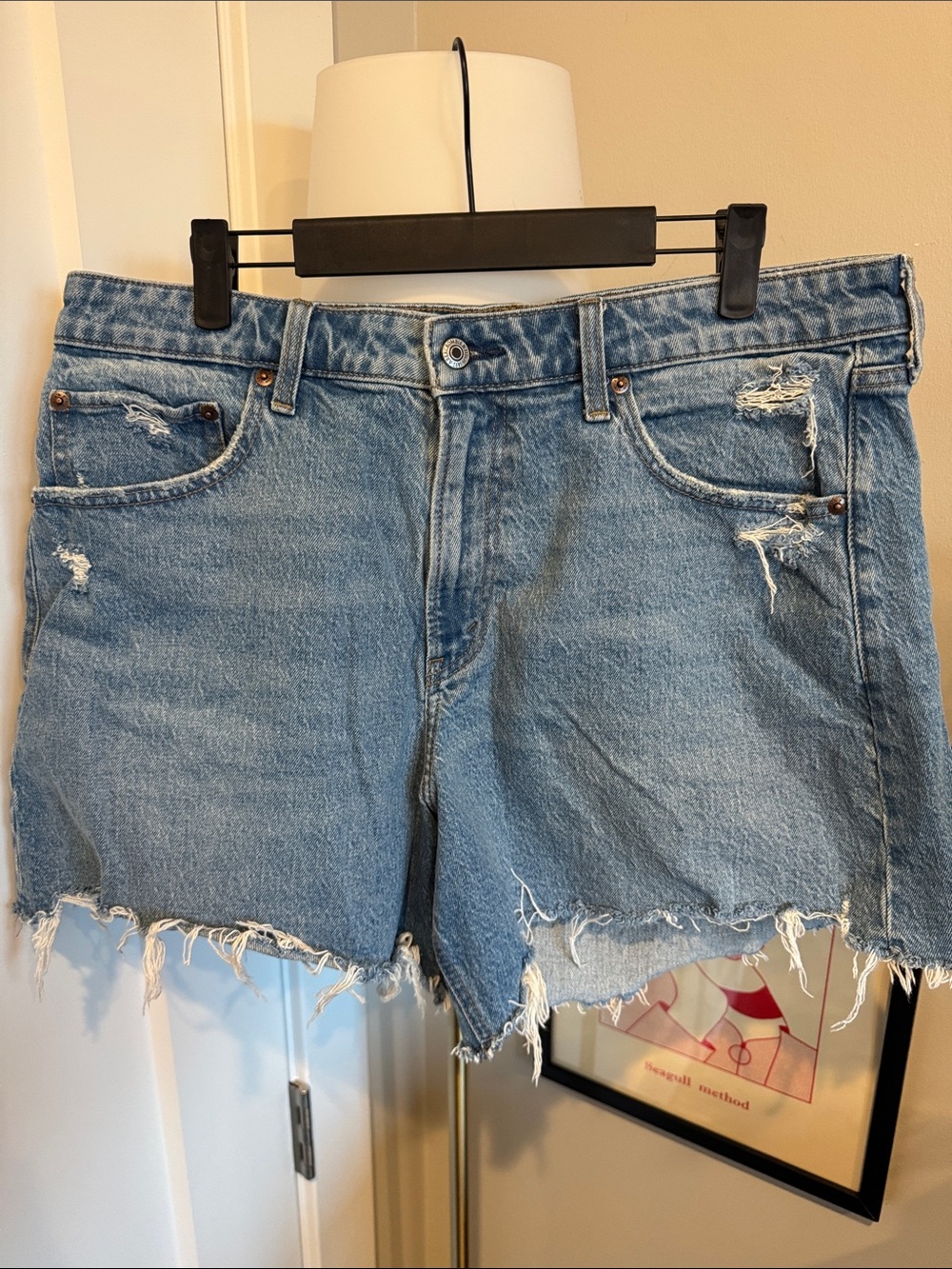 Abercrombie & Fitch, High Rise Dad Short, Curve Love, Size 32